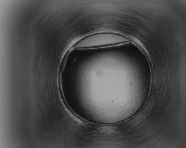 X0000052600847200507160009