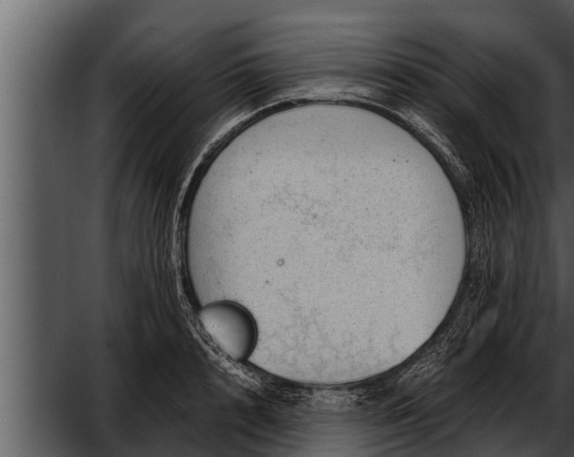 X0000052600848200507160009