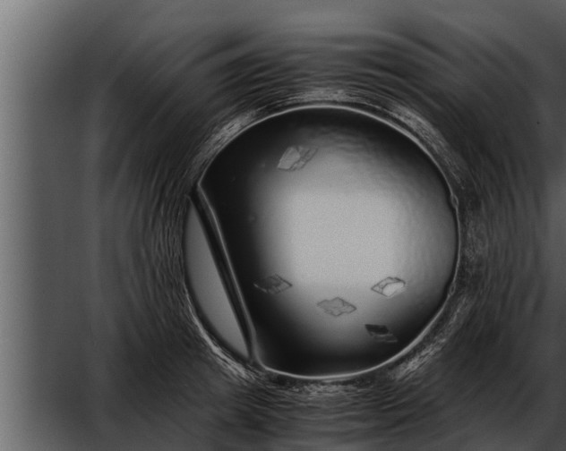 X0000052600849200507160009