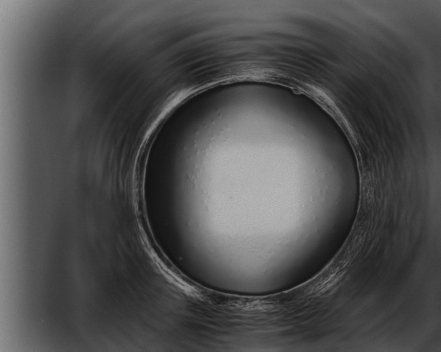 X0000052600851200507160009