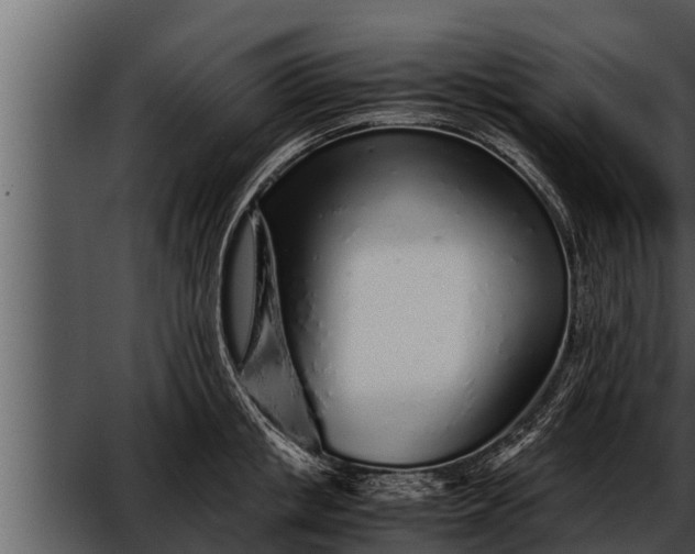 X0000052600853200507160009