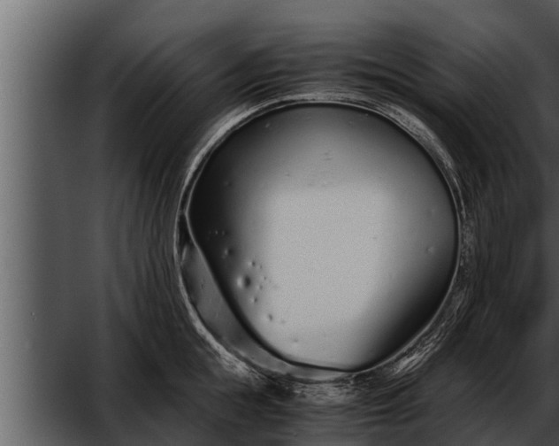 X0000052600855200507160009