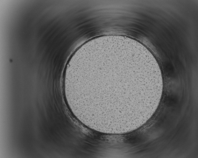 X0000052600856200507160009