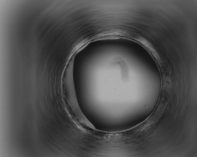 X0000052600858200507160009