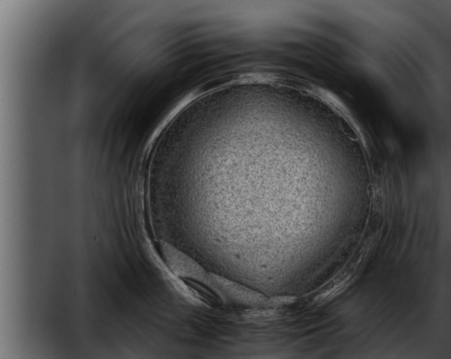 X0000052600859200507160009