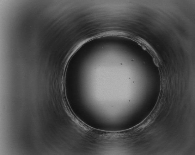 X0000052600860200507160009