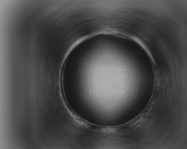 X0000052600861200507160009