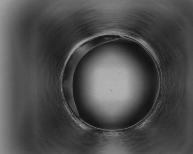 X0000052600862200507160009