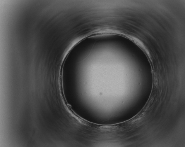 X0000052600863200507160009