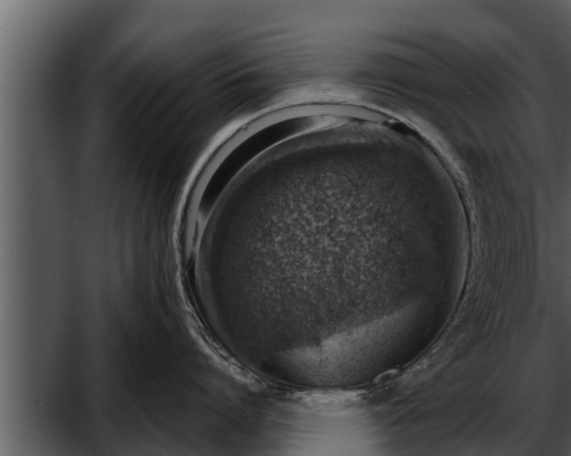 X0000052600864200507160009