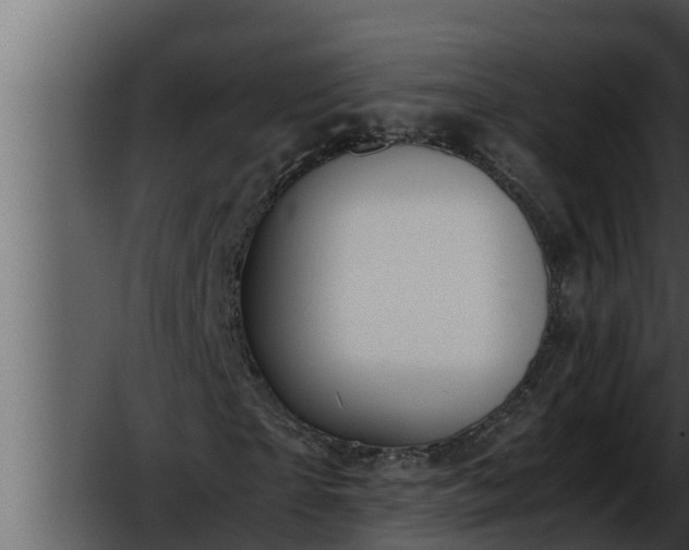 X0000052600865200507160008