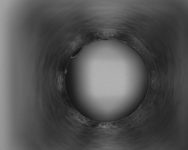 X0000052600866200507160008