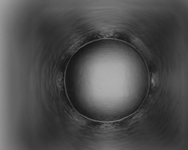 X0000052600867200507160008