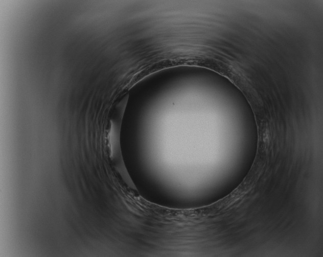 X0000052600868200507160008