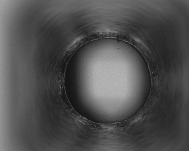 X0000052600870200507160008