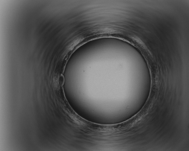 X0000052600873200507160008