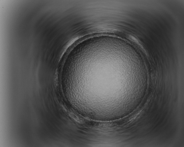 X0000052600875200507160008