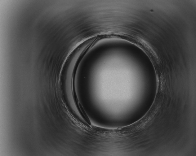 X0000052600876200507160008