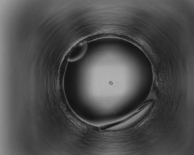 X0000052600880200507160008