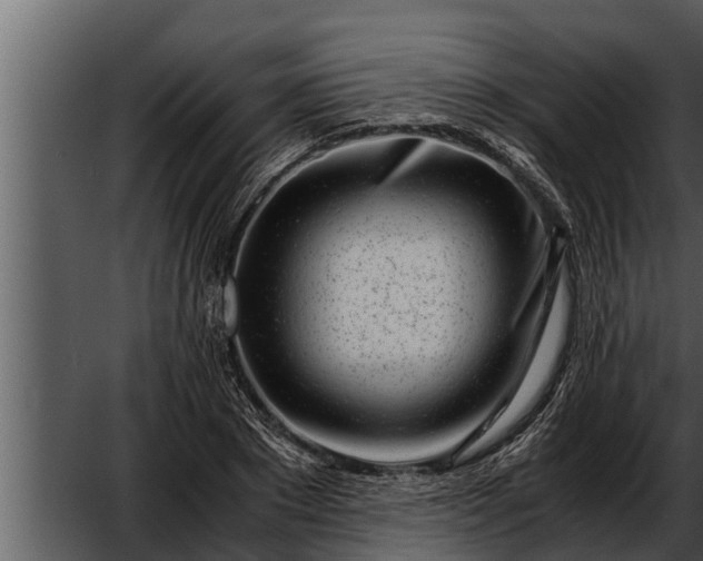 X0000052600881200507160008