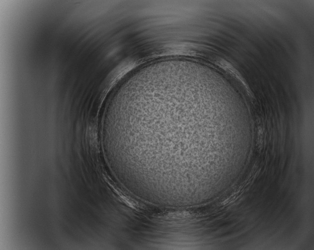 X0000052600882200507160008