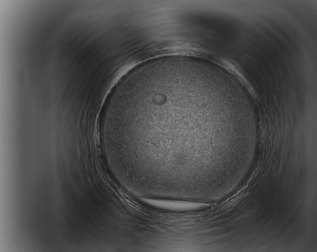 X0000052600883200507160008