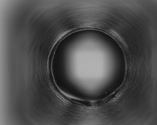 X0000052600884200507160008