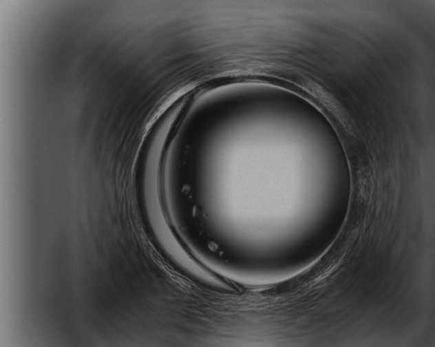 X0000052600885200507160008