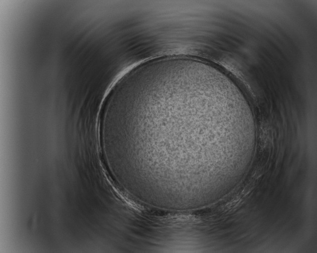 X0000052600886200507160008