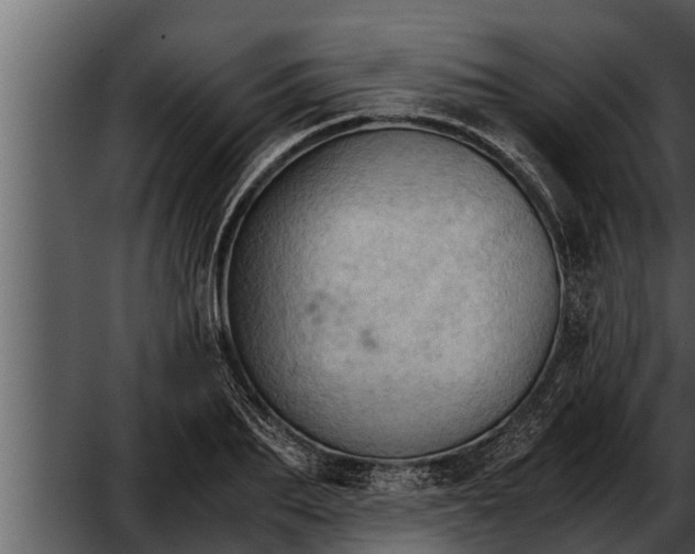 X0000052600887200507160008