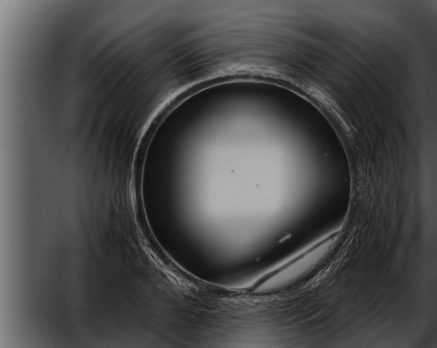 X0000052600888200507160008