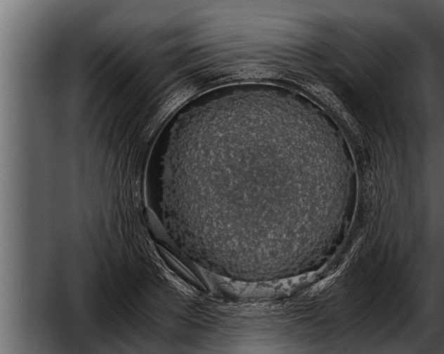 X0000052600889200507160008