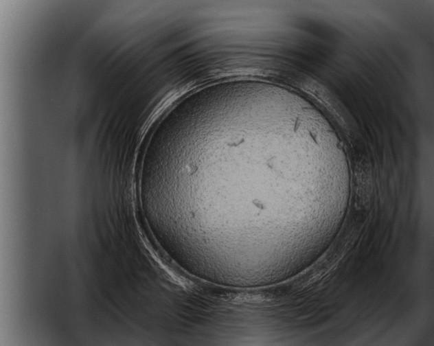 X0000052600890200507160008