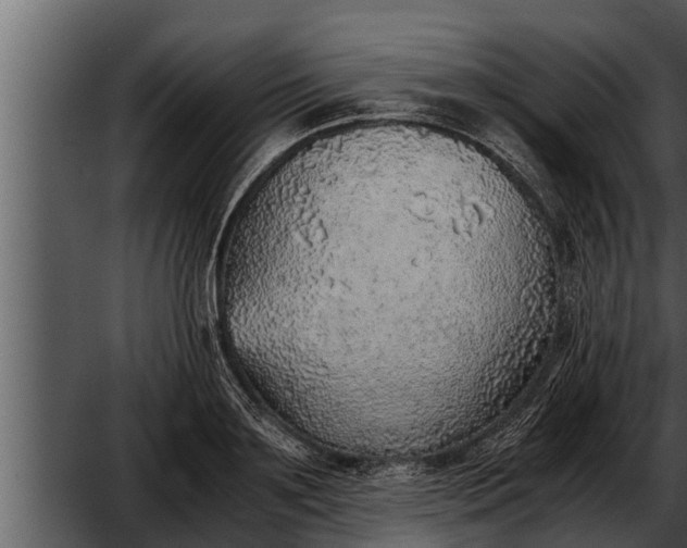 X0000052600891200507160008