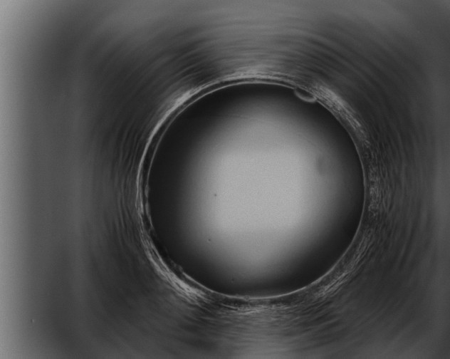 X0000052600892200507160008