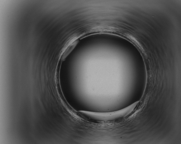 X0000052600893200507160008