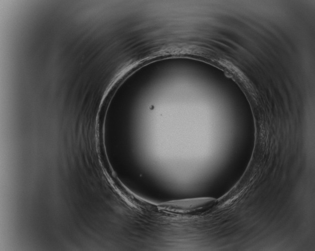 X0000052600894200507160008