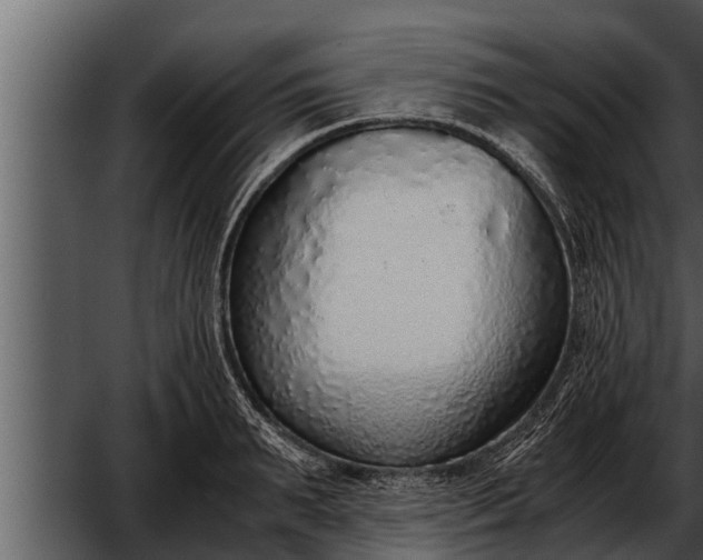 X0000052600895200507160008