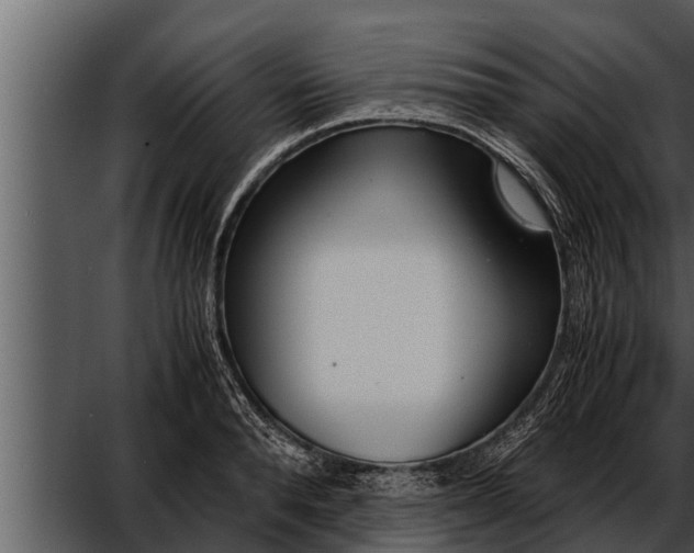 X0000052600896200507160008