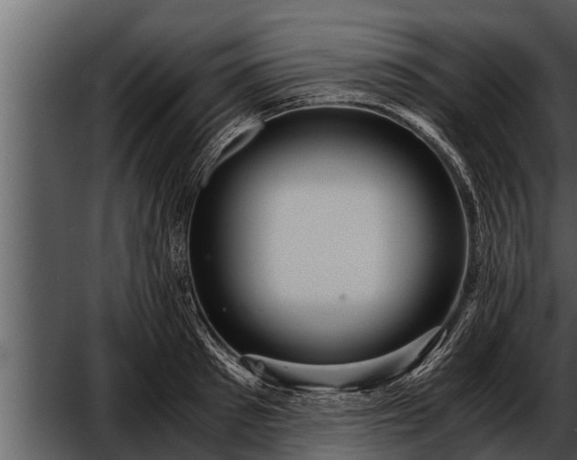 X0000052600897200507160008