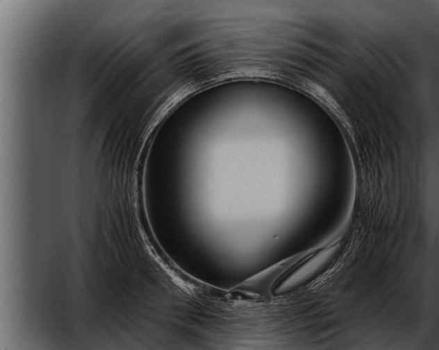 X0000052600898200507160008