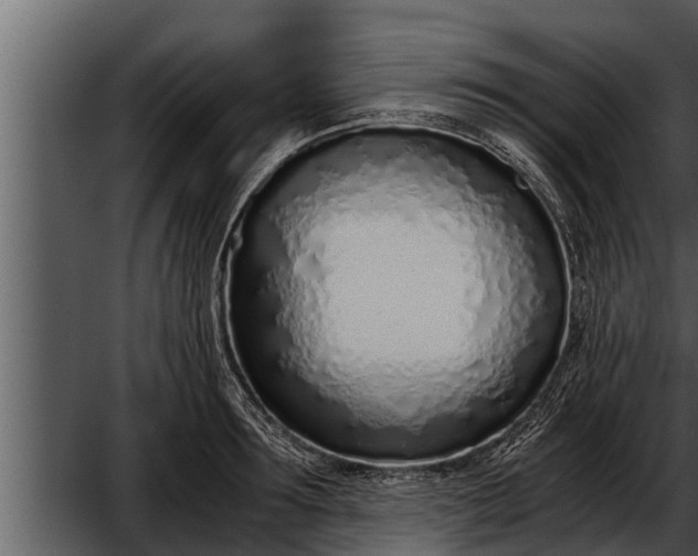 X0000052600899200507160008