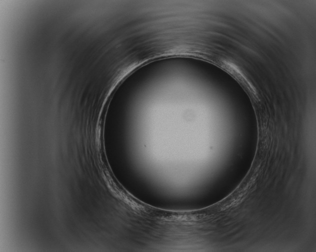 X0000052600900200507160008