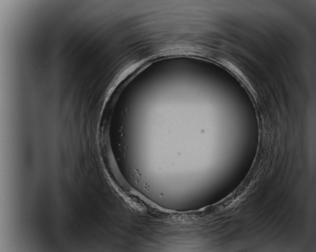 X0000052600901200507160008