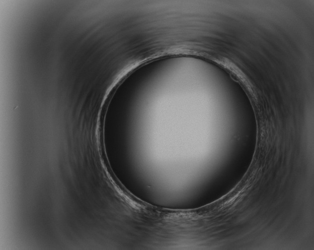 X0000052600902200507160008