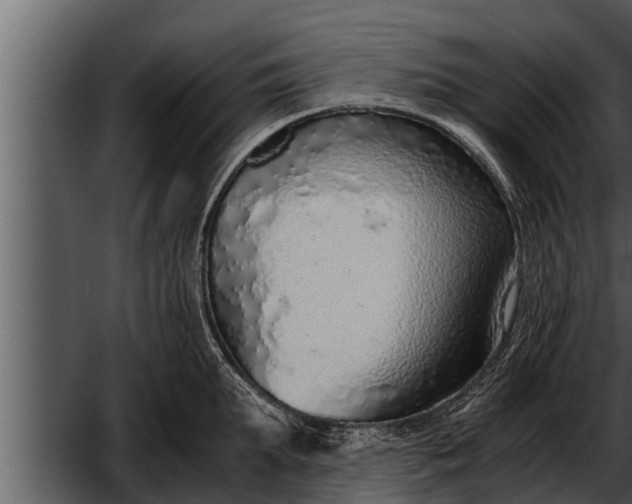 X0000052600903200507160008