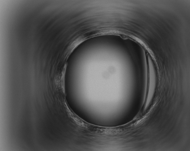 X0000052600905200507160008