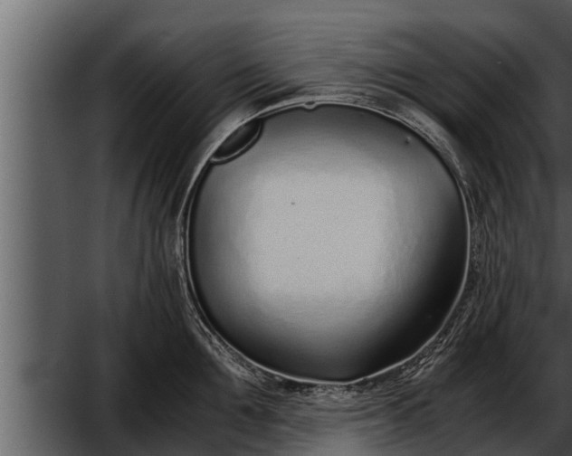 X0000052600907200507160008