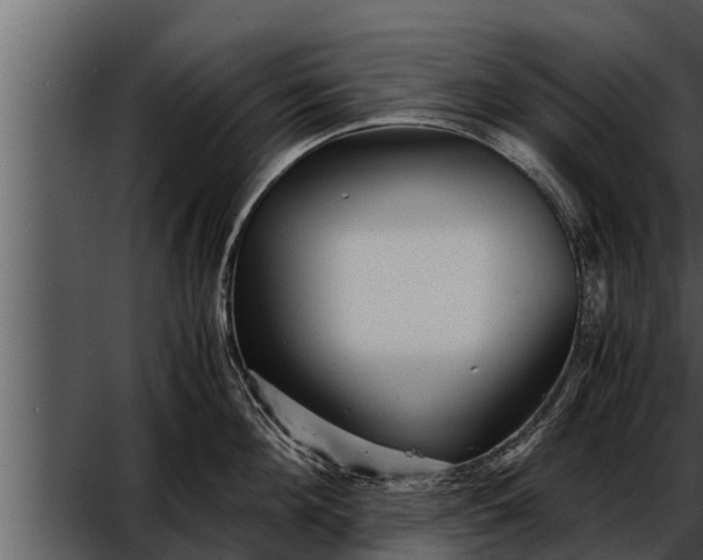 X0000052600908200507160008