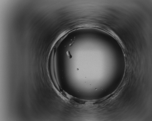 X0000052600909200507160008